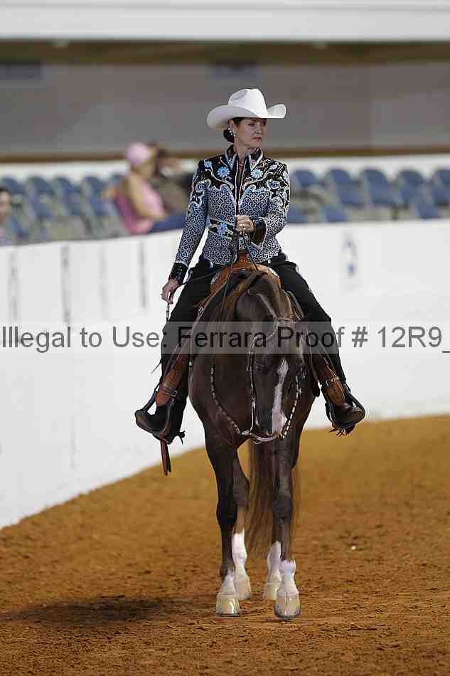 Proof 12r9_3485