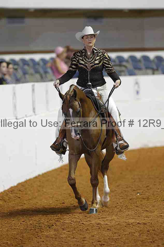 Proof 12r9_3489