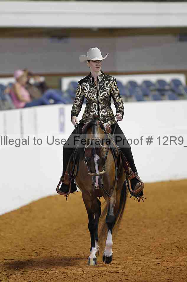 Proof 12r9_3493