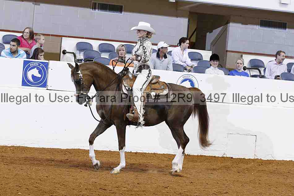 Proof 12r9_3497