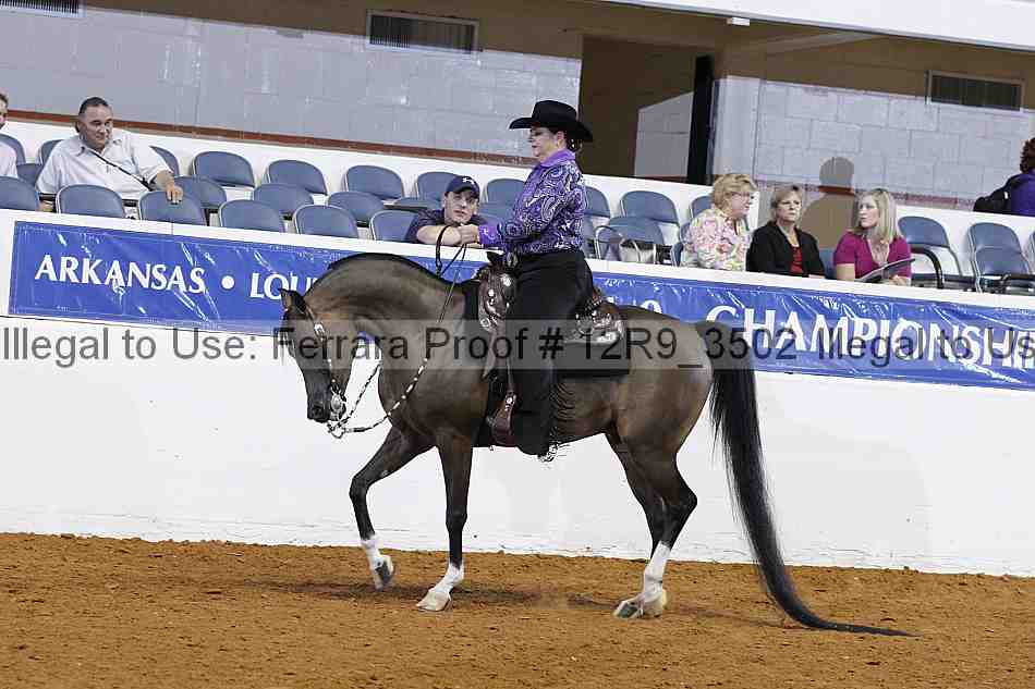 Proof 12r9_3502
