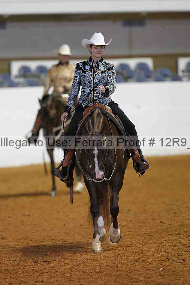 Proof 12r9_3504