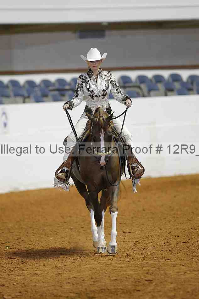 Proof 12r9_3510