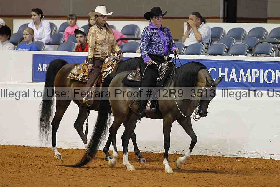 Proof 12r9_3513