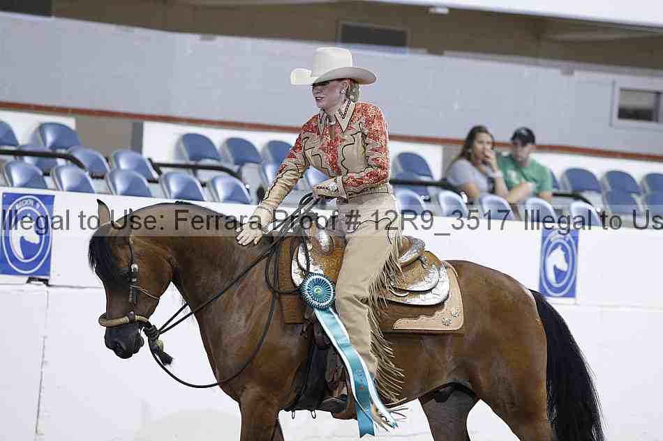 Proof 12r9_3517