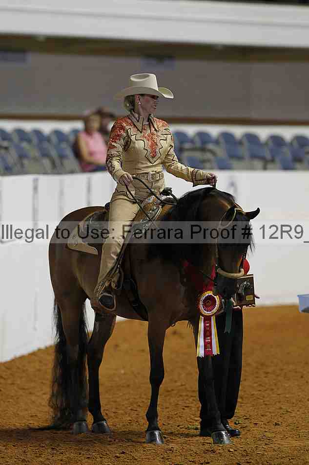 Proof 12r9_3521