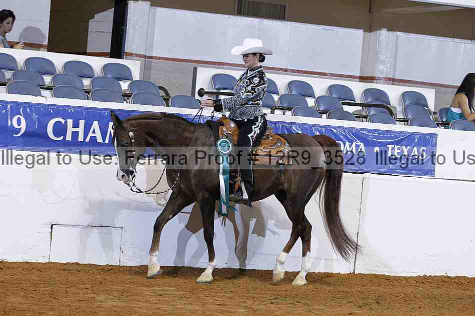 Proof 12r9_3528