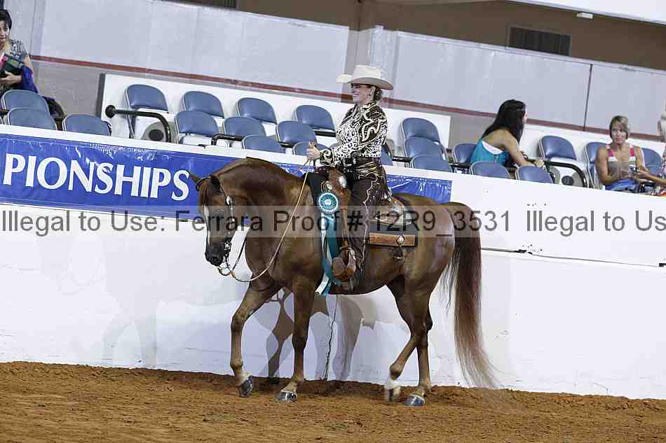 Proof 12r9_3531