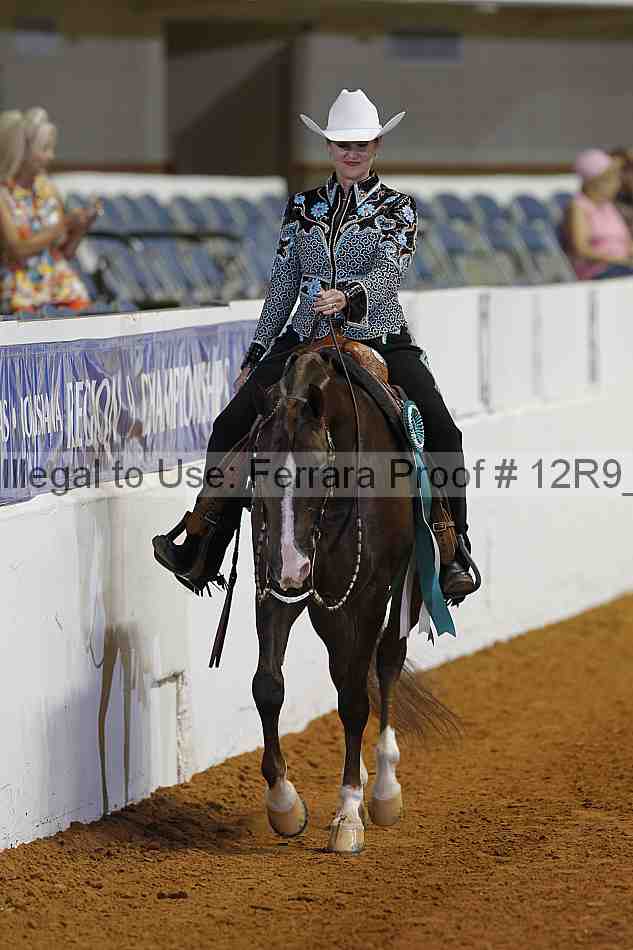 Proof 12r9_3537