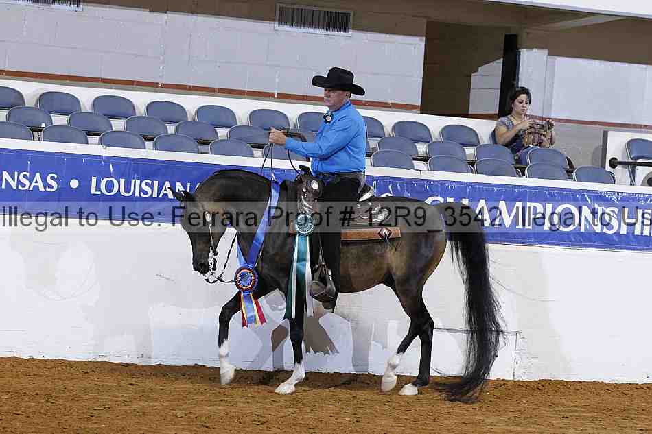 Proof 12r9_3542