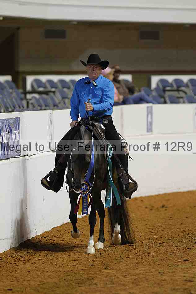 Proof 12r9_3545