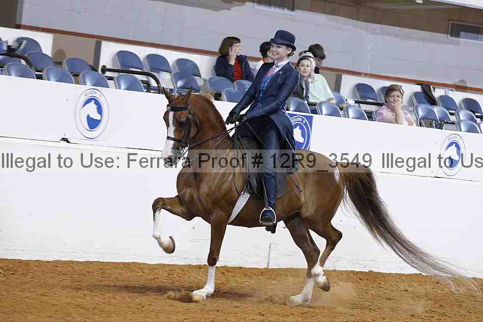 Proof 12r9_3549