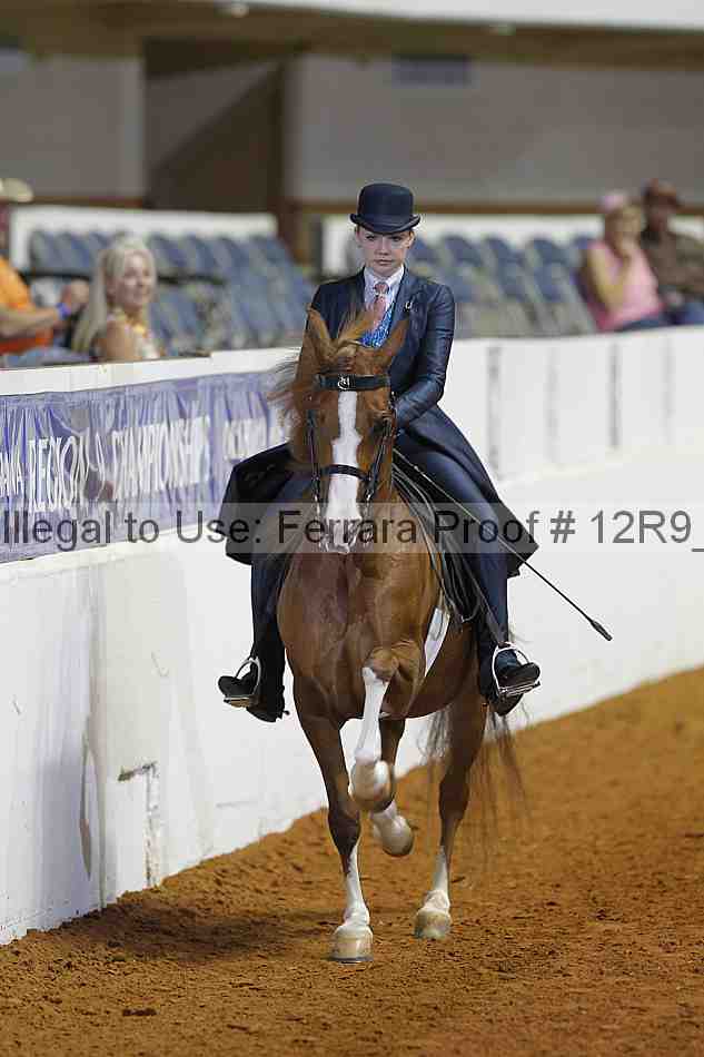 Proof 12r9_3552