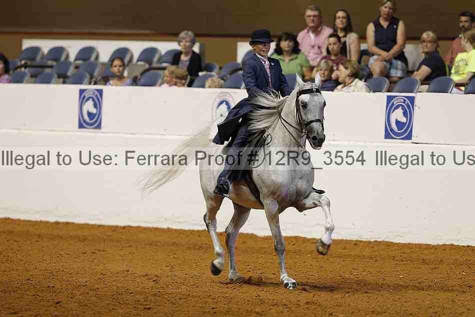 Proof 12r9_3554