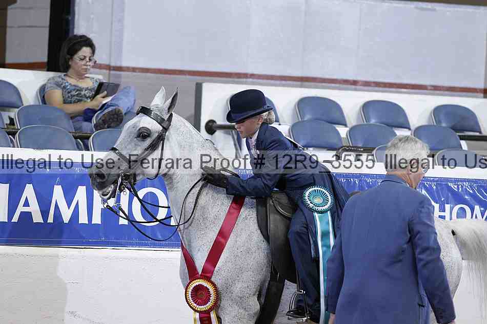 Proof 12r9_3555