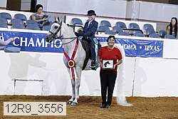 12r9_3556 proof