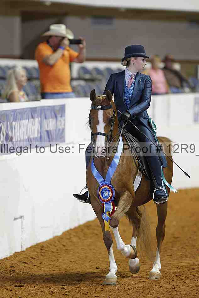 Proof 12r9_3559