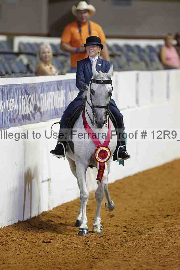 Proof 12r9_3564