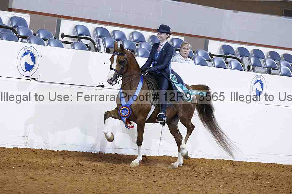 Proof 12r9_3565