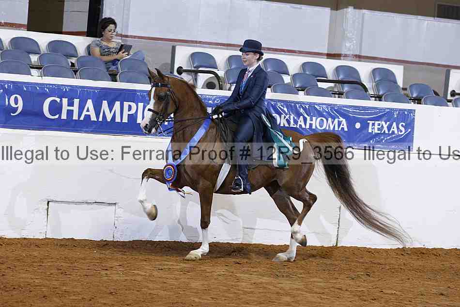Proof 12r9_3566