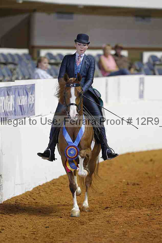 Proof 12r9_3569