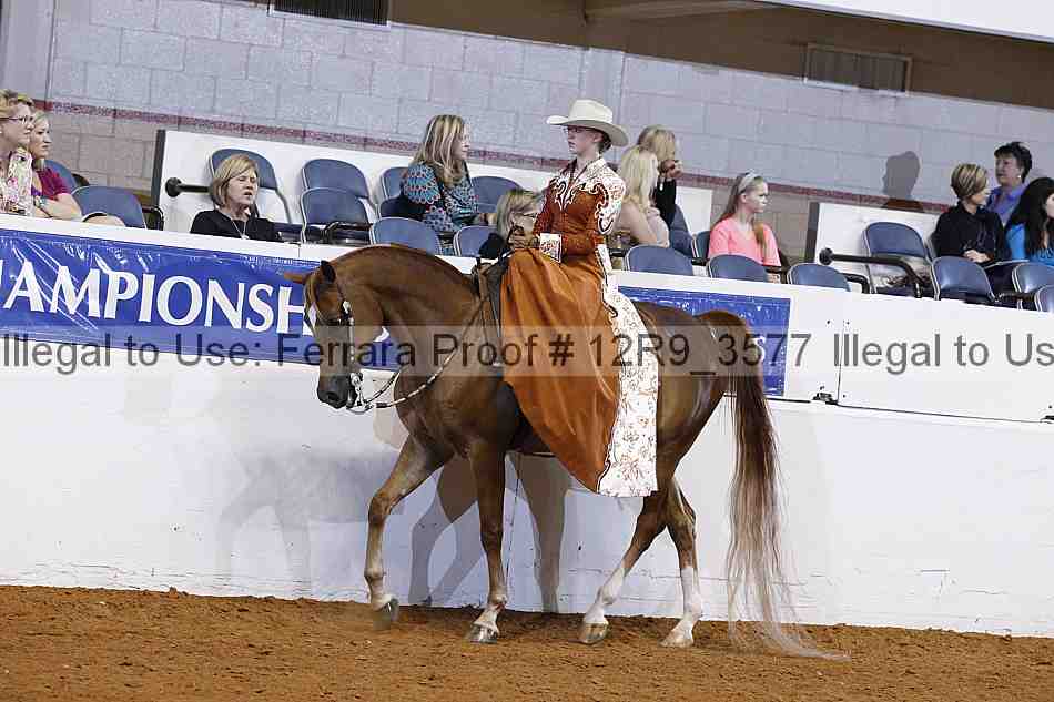 Proof 12r9_3577