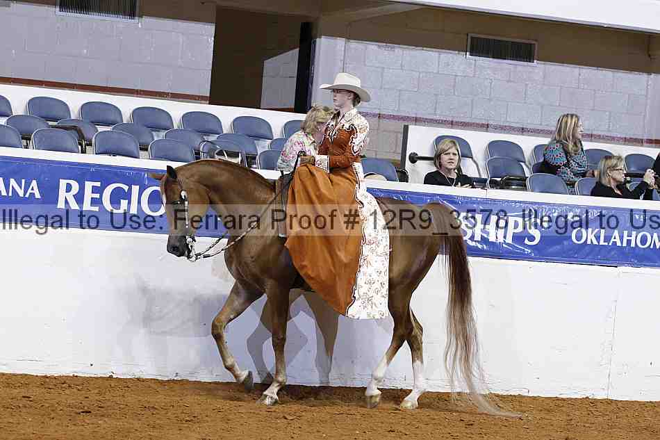Proof 12r9_3578