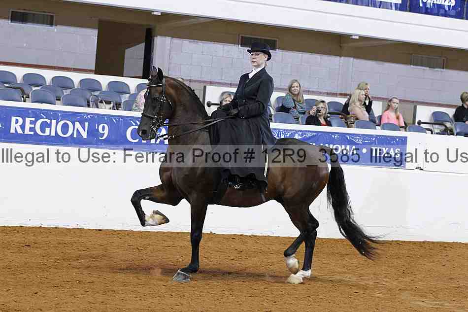 Proof 12r9_3585