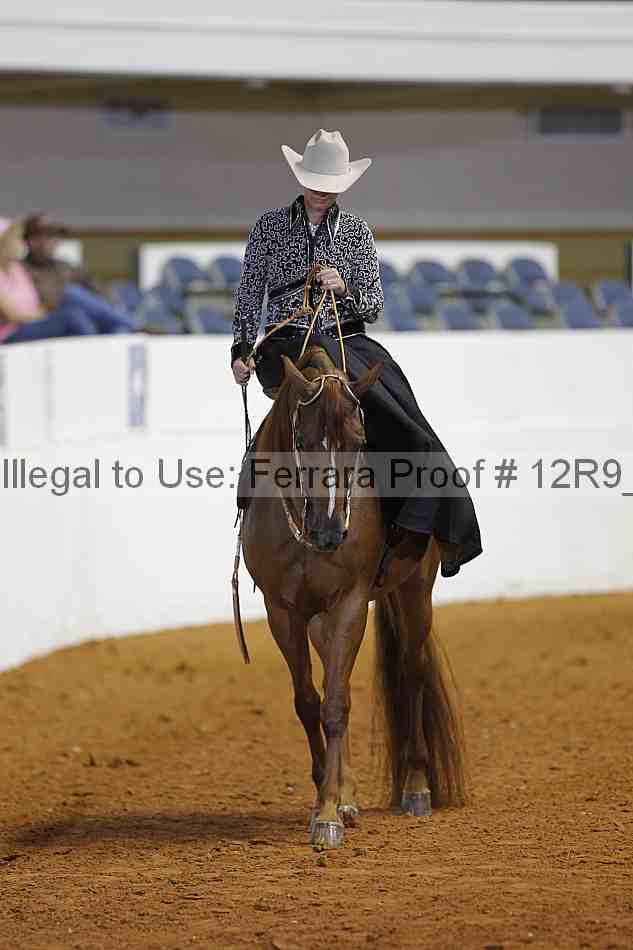 Proof 12r9_3589