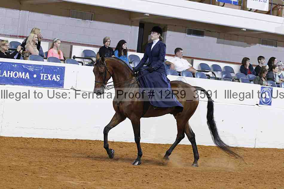 Proof 12r9_3591