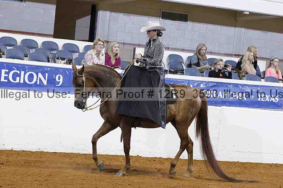 Proof 12r9_3593