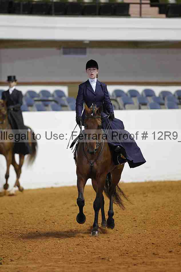 Proof 12r9_3594