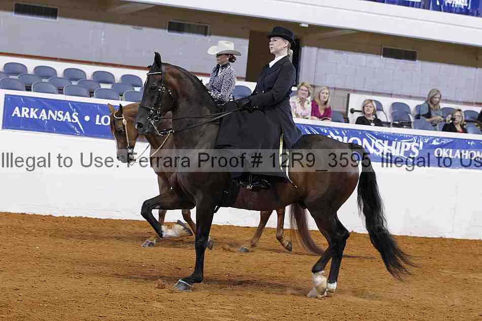 Proof 12r9_3595