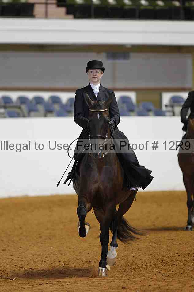 Proof 12r9_3597
