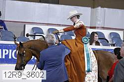 12r9_3602 proof