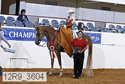 12r9_3604 proof
