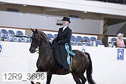 12r9_3606 proof