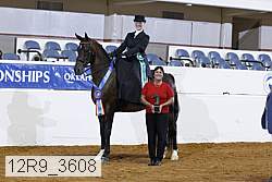 12r9_3608 proof