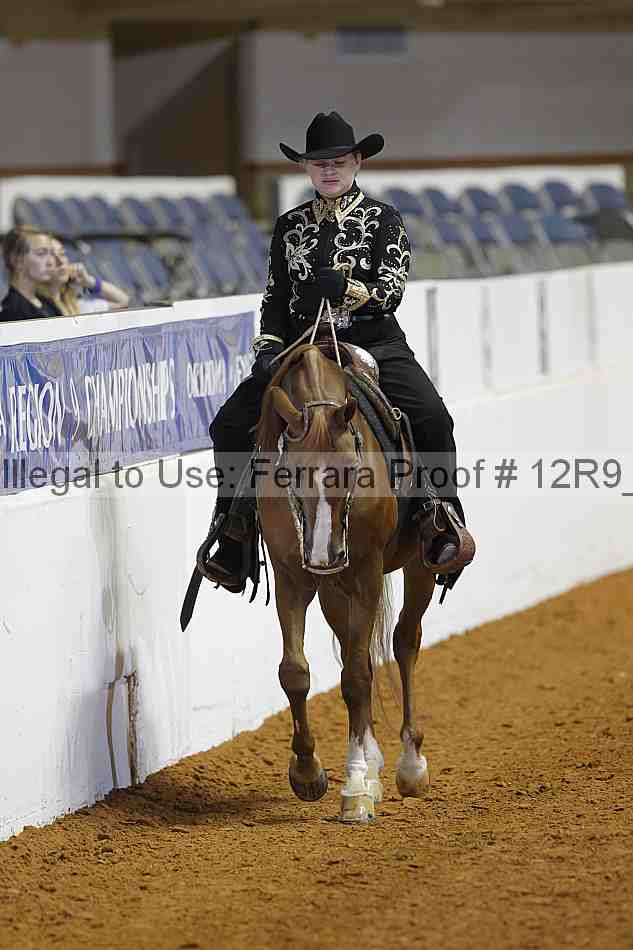 Proof 12r9_3642