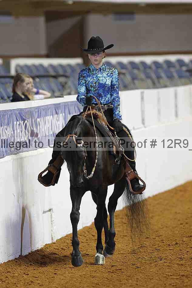 Proof 12r9_3643