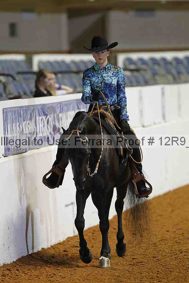 Proof 12r9_3644