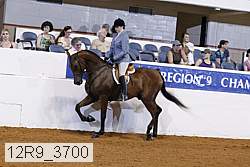 12r9_3700 proof