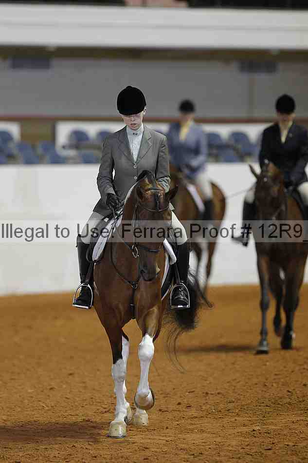 Proof 12r9_3706