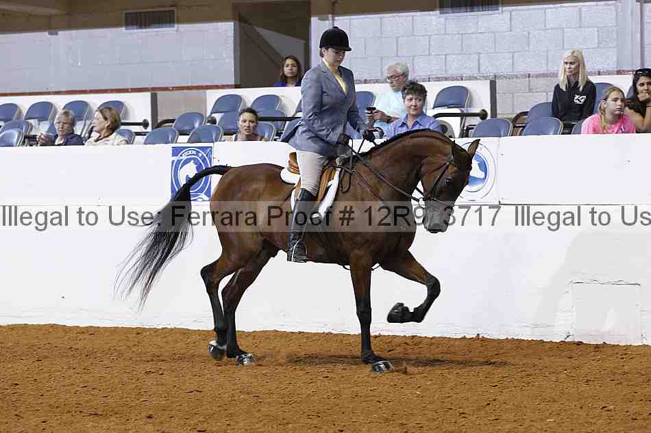 Proof 12r9_3717