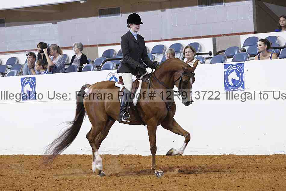 Proof 12r9_3722