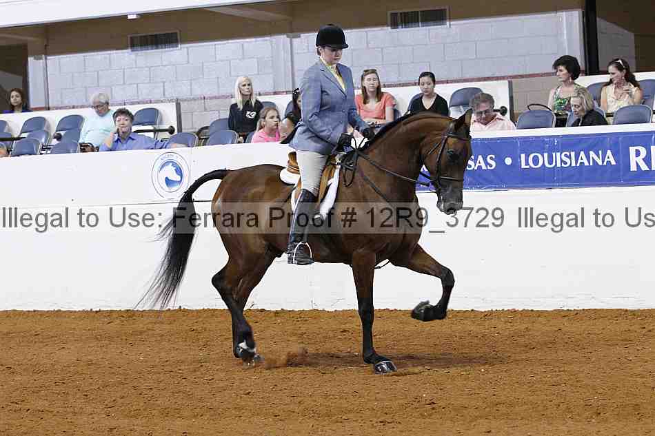 Proof 12r9_3729