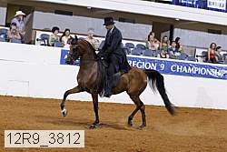 12r9_3812 proof