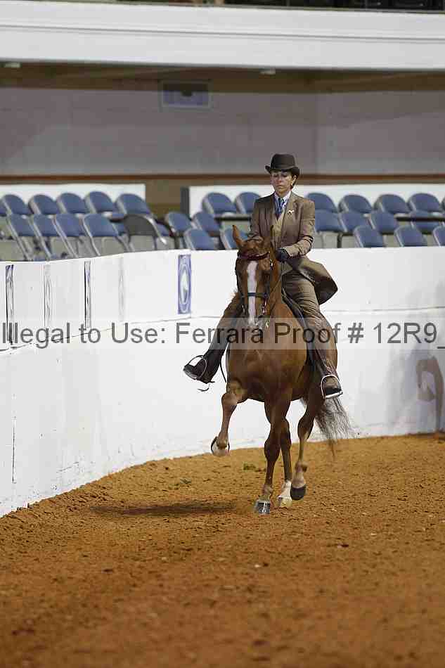 Proof 12r9_3832
