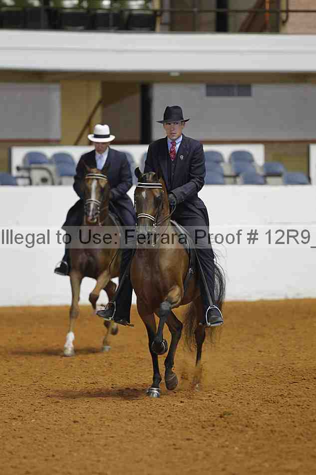 Proof 12r9_3833