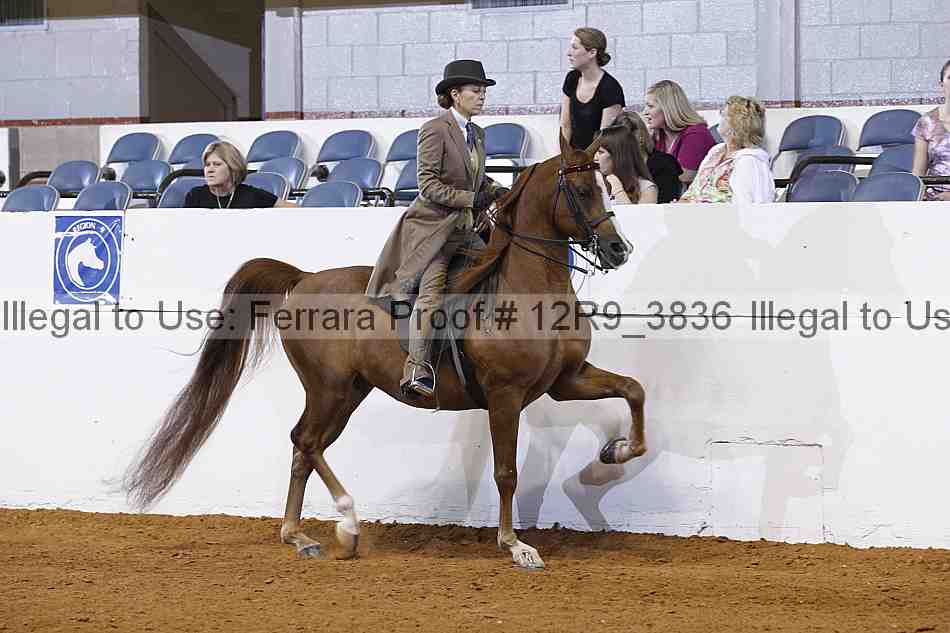 Proof 12r9_3836
